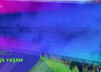 Deştin’de Çimento Fabrikası Projesi Mahkeme ÇED Kararını İptan Etti,
Özge Erdoğan Yeşilırmak ile Yeşil Yaşam Can Tv’de. Konuk: Deştin çevre Platformu Eş Sözcüsü Haluk Özsoy.