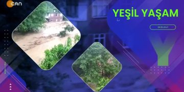 Maden Talanına Karşı Akbelen’de Mücadele Sürüyor. Özge Erdoğan Yeşilırmak ile Yeşil Yaşam. Konuk: Nejla Işık.