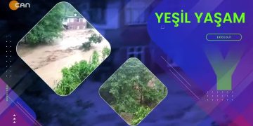 Özge Erdoğan Yeşilırmak’ın hazırlayıp sunduğu Yeşil Yaşam programının bu haftaki konuğu: Gündem Fethiye’den Gazeteciler Hülya Çetinkaya ve Necip Burak Başar.