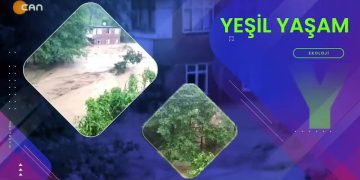 Özge Erdoğan Yeşilırmak’ın hazırlayıp sunduğu Yeşil Yaşam programının konuğu Ekoloji Birliği Kadın Meclisi’nden Füsun Kayra
– Şiddet biçimi olarak ekolojik saldırı
– Ekoloji mücadelesinde kadın
– Kazdağları ve çevresinde son durum