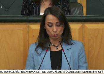 DEM Parti Grup Başkanvekili Tülay Hatimoğulları Konuşuyor.