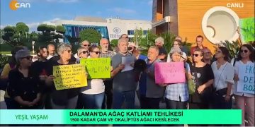 – Dalaman’da Ağaç Katliamı.
– Eskihisar’da Maden Ocağı Projesi.
– Özge Erdoğan Yeşilırmak’ın Hazırlayıp Sunduğu Yeşil Yaşam Programının konuğu MUÇEP Üyesi Mehmet Özavcı.