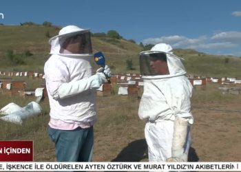 Zara’da Arıcılık Yapan Tek Kadın: Naciye Erkan