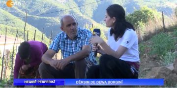 DÊRSIM DE DEWA BORGINÎ – Nuray Atmaca’nın Hazırlayıp Sunduğu HEQIBÊ PERPERIKÎ Programı CanTV’de