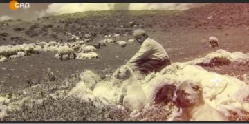 – PULUR DE MEZRAYA MERXO
– Nuray Atmaca’nın Sunduğu HEQIBE PERPERIKÎ Programı CanTV’de