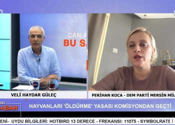 Veli Haydar Güleç’in sunumuyla Can Aktüel Bu Sabah programında konuk Dem Parti Mersin Milletvekili Perihan Koca 2. Bölüm