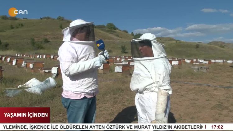 Zara’da Arıcılık Yapan Tek Kadın: Naciye Erkan