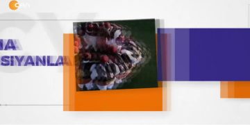 – FEDA Leverkusen Alevi Dergâhı’nın Futbol Takımı LEV-FEDA
– Cana Yansıyanlar Programı CanTV’de