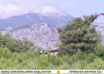 – 300 Dönümlük Diken Tarlasını Meyve Ormanına Dönüştürüyor !
– Alevilerden Hükümete Hacıbektaş Uyarısı: Anmadan Vazgeçin
– Hakk’a Yürüyen Maraş Alevi Katliamı Tanığı Mahmut Duman İçin Taziye Yapıldı