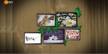 Halil Turan ile Turnalar.