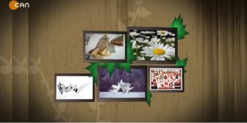 Hasan Bağdaş İle Turnalar