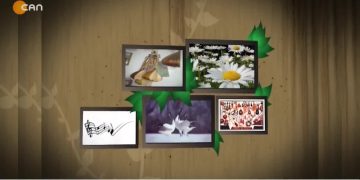 Mustafa Karataş İle Turnalar