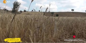 Kervansaray Köyü / Tokat – Hüseyin Kelleci’nin Sunduğu Can Bizim Eller Programı CanTV’de