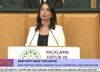 DEM Parti Grup Toplantısı, DEM Parti Eş Genel Başkanı Tülay Hatimoğullar konuşuyor.