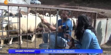 PULUR DE DEWA HEMÛSKÛ – Nuray Atmaca’nın Hazırlayıp Sunduğu Heqıbê Perperıkî Programı CanTV’de