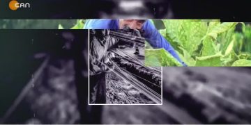 – LI GÜNDİ ANBAR E JİYAN
– EKİNÖZÜ ( CALAK ) TİRMEH 2024
– Elif Tabak’ın Hazırlayıp Sunduğu Yaşamın İçinden Programı CanTV’de