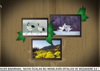 İsmail Ergün ile Turnalar.