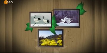 İsmail Ergün ile Turnalar.