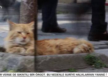 Asgari Ücret Zammı Beklentiyi Karşıladı mı – Sokakta Can TV’de