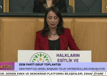 DEM Parti Grup Toplantısı, DEM Parti Eş Genel Başkanı Tülay Hatimoğulları konuşuyor..