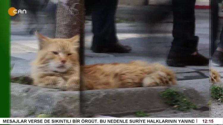 Asgari Ücret Zammı Beklentiyi Karşıladı mı – Sokakta Can TV’de