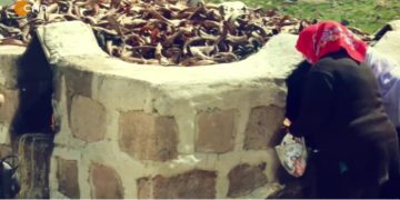 – Heqatê Xerivê Dersim Mi, 
– Fintoz Dikme ile Vatîs. Konuk: Ali Rıza Aslan.