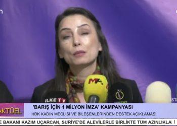 HDK’nin Kadın Meclisleri ve İttifakları   ”Barış İçin 1 Milyon İmza” Kampanyasına Destek Açıklaması Yapıyor.