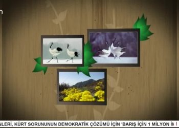 Sezai Yılmaz ile Turnalar Programı Sizlerle.