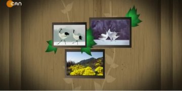 Sezai Yılmaz ile Turnalar Programı Sizlerle.