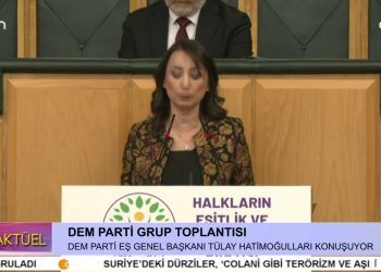DEM Parti Grup Toplantısı, DEM Parti Eş Genel Başkanı Tülay Hatimoğulları konuşuyor..