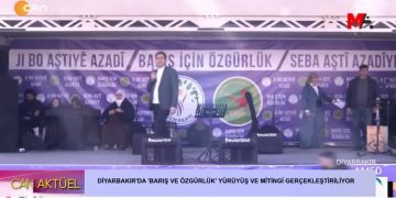 Diyarbakır’da ‘Barış ve Özgürlük’ yürüyüş ve Mitingi Gerçekleştiriliyor.