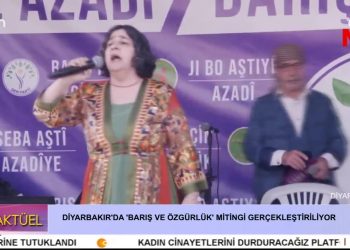 Diyarbakır’da ‘Barış ve Özgürlük’ yürüyüş ve Mitingi Gerçekleştiriliyor.