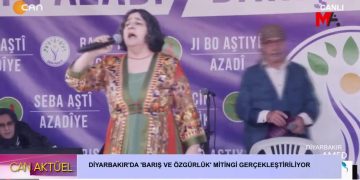 Diyarbakır’da ‘Barış ve Özgürlük’ yürüyüş ve Mitingi Gerçekleştiriliyor.