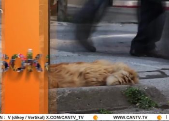 – Emekliler 14 Bin 469 TL ile Nasıl Geçinecek
– Sinem Gündüz İle Sokakta Programı CanTV’de