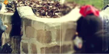 – Aşma Zelzeli Ye Dıyemînî,
– Fintoz Dikme ile Vatîs. Konuk: Mehmet Güzel – Nuştox (Nıweskar)