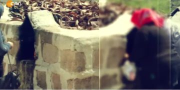 – ZONE MA KULTURÊ MÂ
– Fintoz Dikme İle Vatîs Programının Konuğu Sosyolog Şükrü Aslan