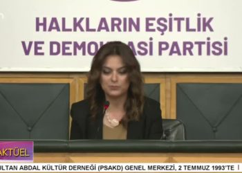 DEM Parti Grup Toplantısı, DEM Parti Eş Genel Başkanı Tülay Hatimoğulları konuşuyor..