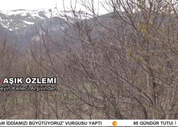 Aşık Özlemi, Hüseyin Kelleci Arşivinden