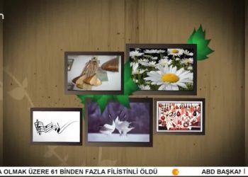 SERDAR YILDIZ İLE TURNALAR