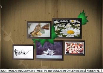 OKAN PEHLİVAN İLE TURNALAR