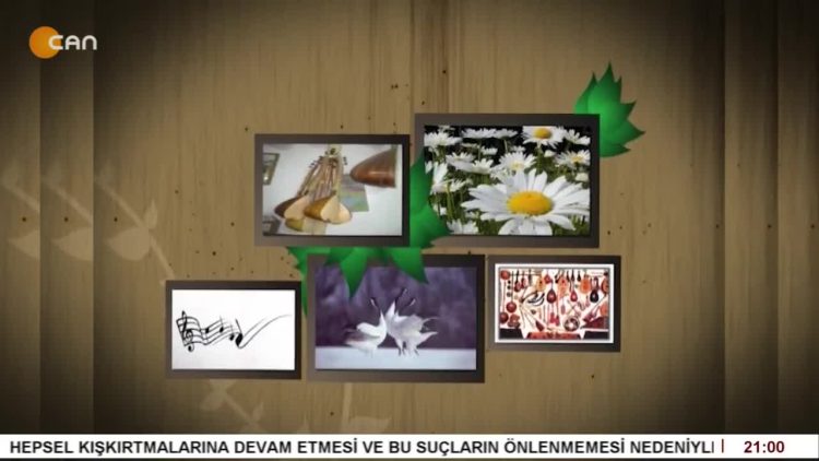 OKAN PEHLİVAN İLE TURNALAR