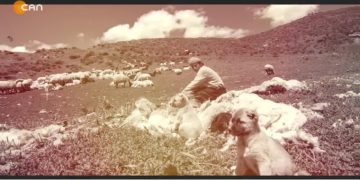 – PÊRTAGE DE DEWA AVSKERÎ
– Nuray Atmaca İle Heqıbê Perperıkî