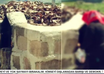 – ZIWAN Û EDEBÎYATÊ KIRMANCKÎ SER 
– Fintoz Dikme İle Vatîs Programının Konuğu Turabi Kişin.