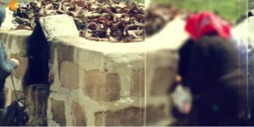 – ZIWAN Û EDEBÎYATÊ KIRMANCKÎ SER 
– Fintoz Dikme İle Vatîs Programının Konuğu Turabi Kişin.