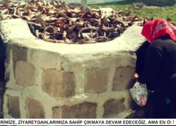 – Viyana Dê Zonê Ma, 
– Fintoz Dikme ile Vatîs. Konuğu: Eren Kılıç.