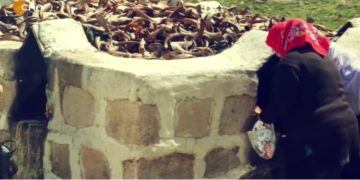 – Viyana Dê Zonê Ma, 
– Fintoz Dikme ile Vatîs. Konuğu: Eren Kılıç.