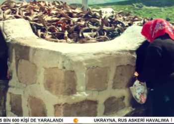 FİNTOZ DİKME İLE VATİS – 15. FESTİVALÊ KULTURÊ DERSIMÎ YÊ AWRUPA