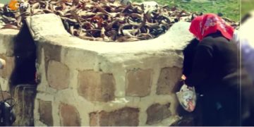 FİNTOZ DİKME İLE VATİS – 15. FESTİVALÊ KULTURÊ DERSIMÎ YÊ AWRUPA