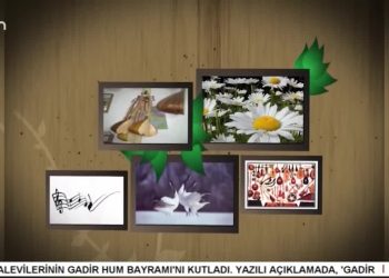 ŞAHİN ÖRK İLE TURNALAR