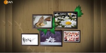 ŞAHİN ÖRK İLE TURNALAR